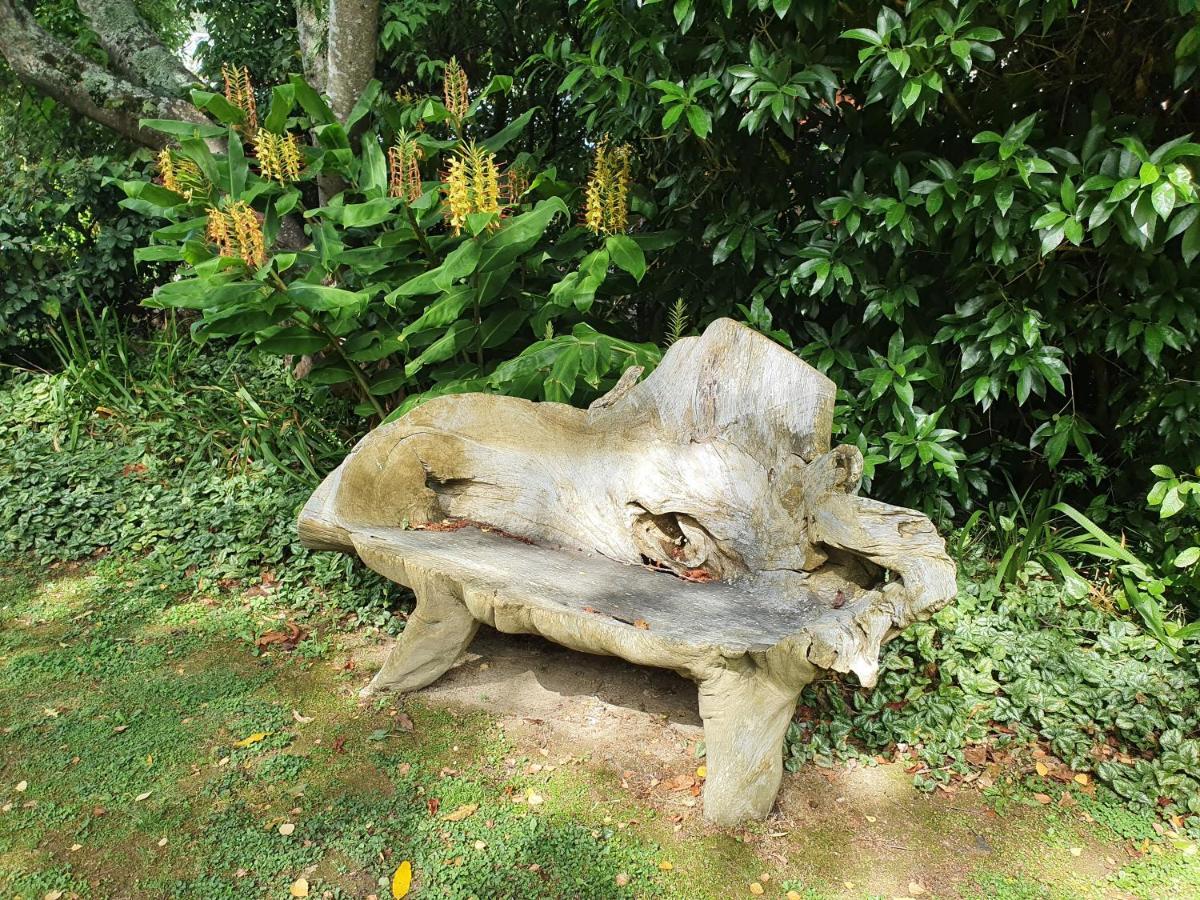 Havelock Garden Motel Bagian luar foto